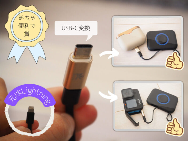 RoiCiel IPhone & USB-C変換アダプタ